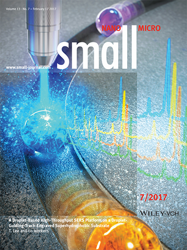 2017_02_Small_Cover