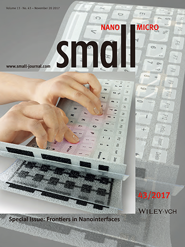 2017_11_Small_cover