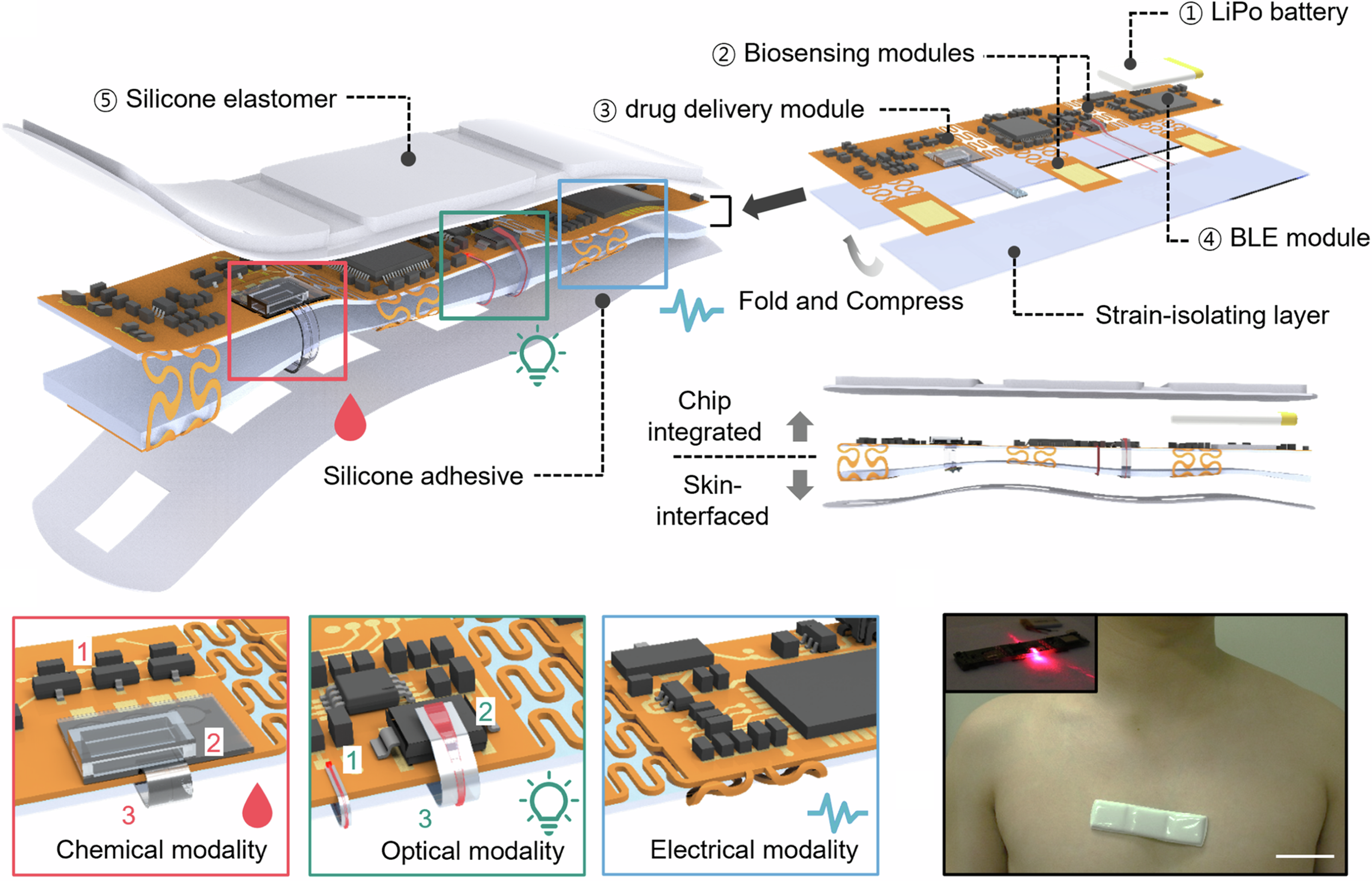 Publications – NanoBio Device Lab.